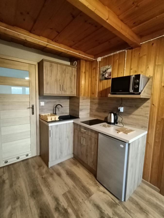 Wynajem U Patryka Apartment Poronin Ngoại thất bức ảnh